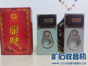 国产精品入,匠心独运,引领时代潮流的青春成长记